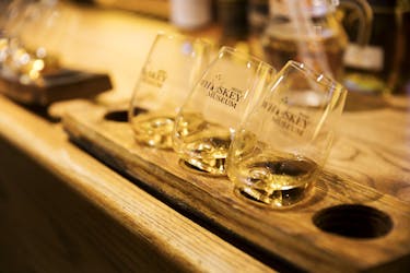 Visite Classique ou Premium au Musée du whisky irlandais